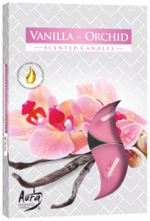Bispol vonné čajové svíčky 6 ks VANILLA ORCHID - vanilková orchidej