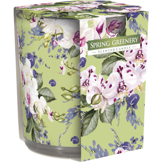 Vonná svíčka BISPOL 300 g - SPRING GREENERY s krásným potiskem