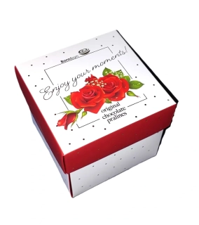 Čokoládové pralinky CUBE Born&syn 125 g s lískooříškovým krém