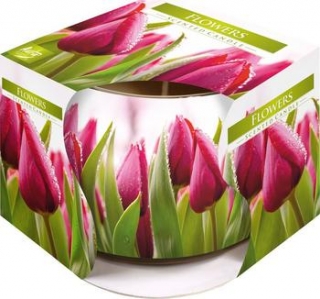 Bispol vonná svíčka ve skle Flower Tulipán