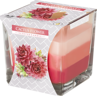 Bispol 3barevná svíčka CACTUS FLOWER - netřesk